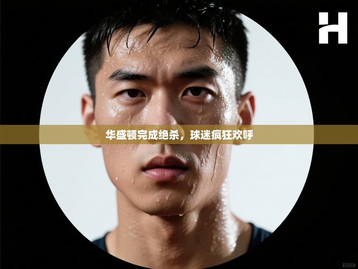 开云登录-华盛顿完成绝杀,球迷疯狂欢呼 第1张